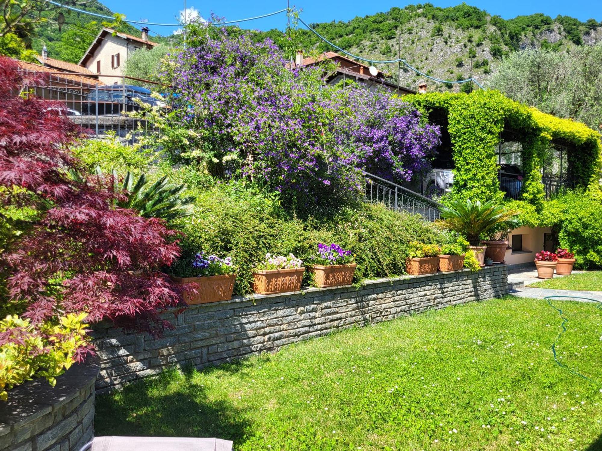 Casa Intignano - Appartamento Con Terrazzo Vista Lago Tremezzo Eksteriør bilde