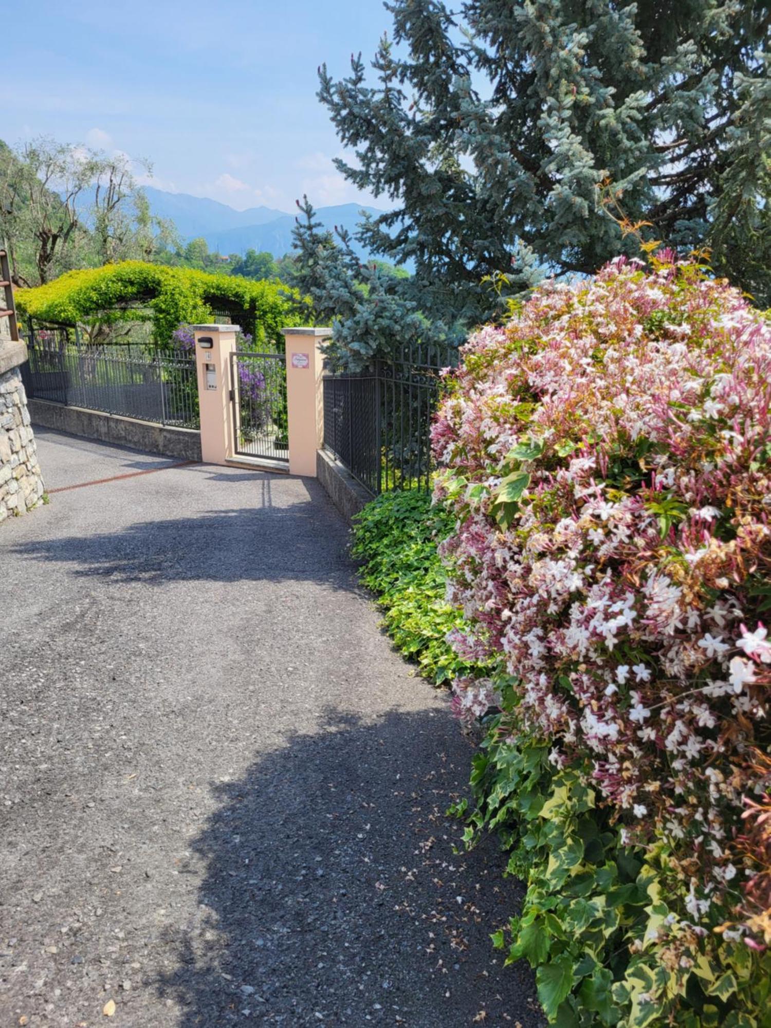 Casa Intignano - Appartamento Con Terrazzo Vista Lago Tremezzo Eksteriør bilde