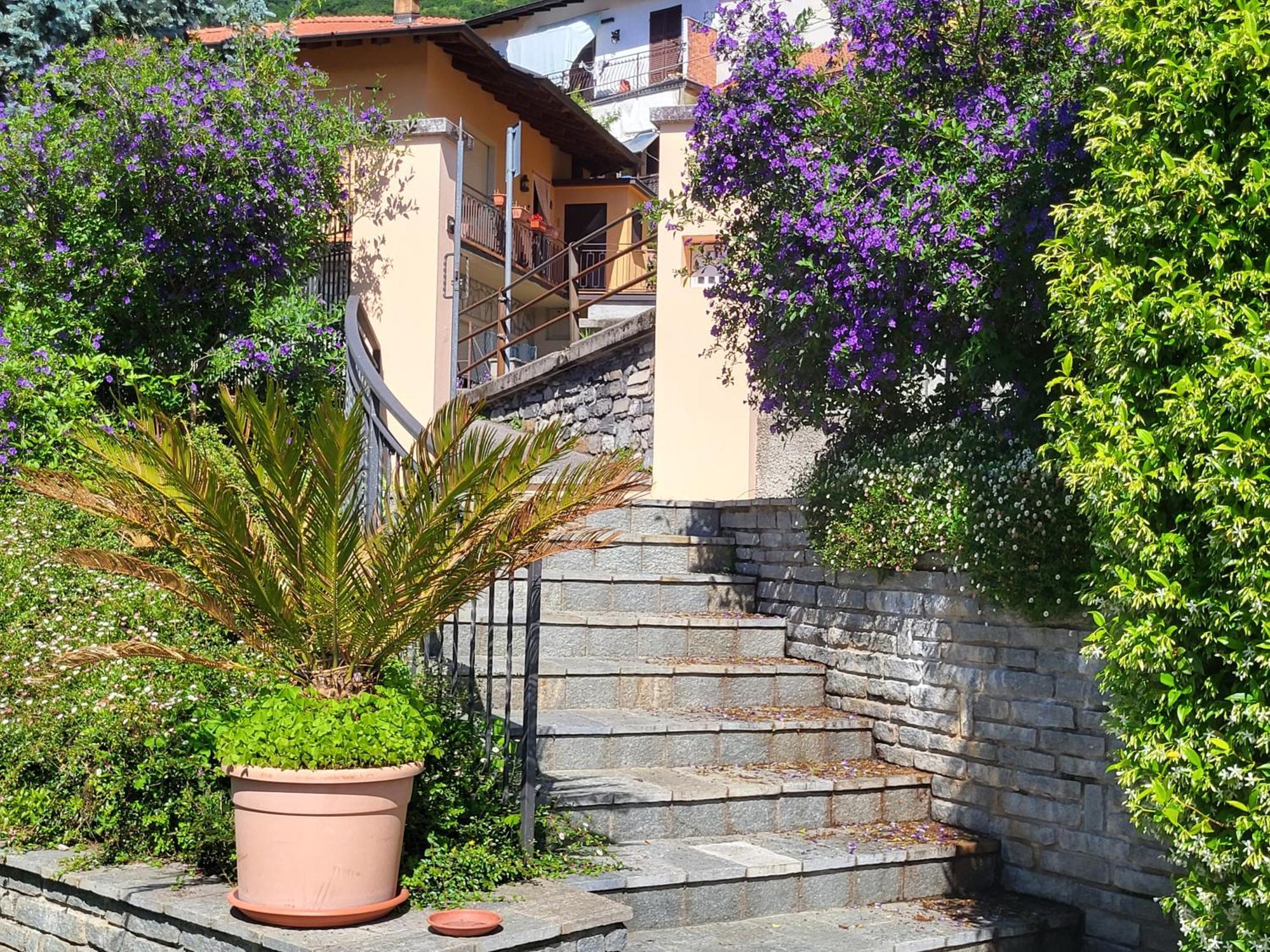Casa Intignano - Appartamento Con Terrazzo Vista Lago Tremezzo Eksteriør bilde