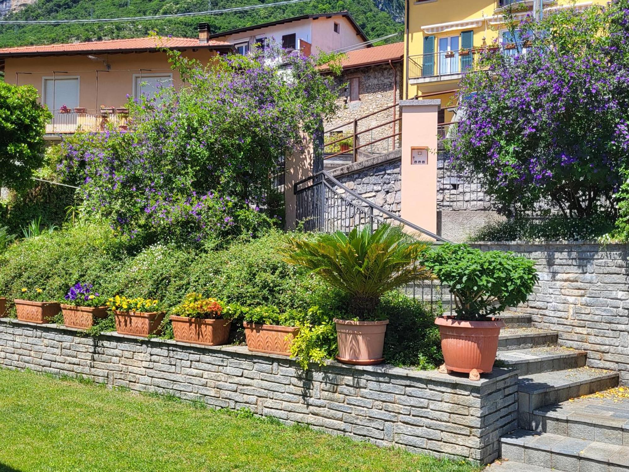 Casa Intignano - Appartamento Con Terrazzo Vista Lago Tremezzo Eksteriør bilde